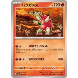 PK-SVHK-003 バクガメス