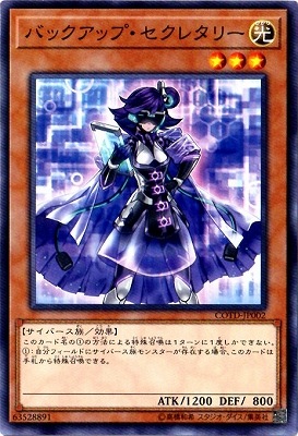 バックアップ・セレクタリー COTD-JP002