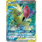 PK-SM11-101 メガヤミラミ&バンギラスGX SR