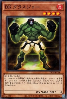 ＢＫ グラスジョー DP28-JP040