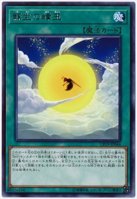蘇生の蜂玉 CP19-JP044