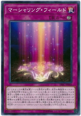マーシャリング・フィールド DBIC-JP045