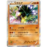 ジガルデ【251/XY-P】