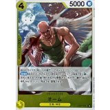オーム OP05-101