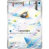 063/062 AR ユキワラシ