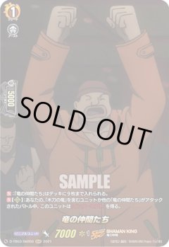 【SKR仕様(C)】竜の仲間たち[VG_D-TB03/SKR50SKR]