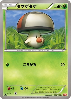 PK-BW02-004 タマゲタケ C