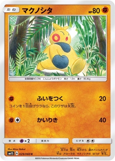 PK-SM1S-029 マクノシタ C