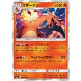 PK-SM6-003 コフキムシ C