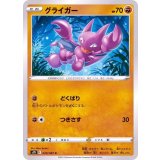 PK-S7D-020 グライガー C
