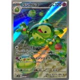 075/071 AR ランクルス