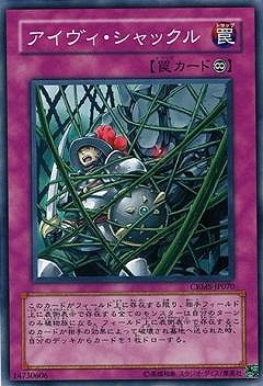 アイヴィ・シャックル CRMS-JP070