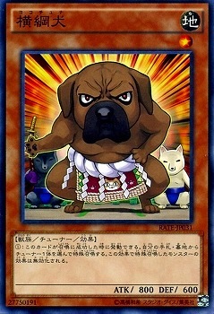 横綱犬 RATE-JP031