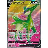 074/067 SR ビリジオンV