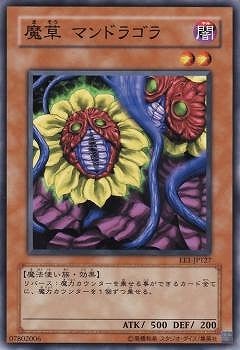 魔草 マンドラゴラ EE1-JP127