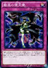 魅惑の堕天使 SPDS-JP037