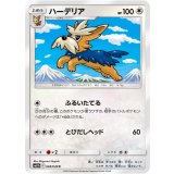 PK-SM11b-038 ハーデリア C