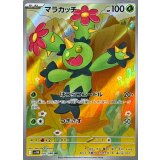 093/086 AR マラカッチ
