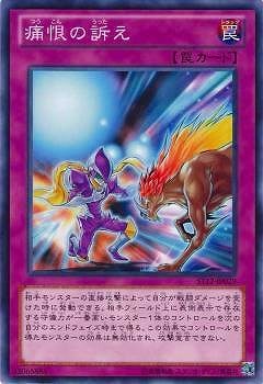 痛恨の訴え ST12-JP029