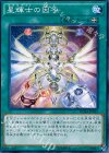星輝士の因子 DUEA-JP057