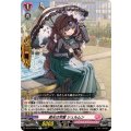 遮光は完璧 シュルムン DZ-BT13/102