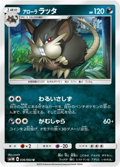 PK-SM1M-036 アローララッタ U