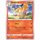 PK-S10P-012 ギャロップ C