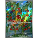 064/063 AR ツボツボ