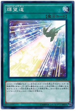 PP18-JP014 輝望道
