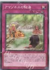 アマゾネスの秘湯 AC02-JP039