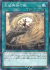 天威無崩の地 RIRA-JP058