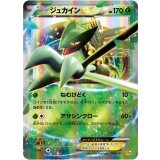 【CP4】【006/131】ジュカインEX