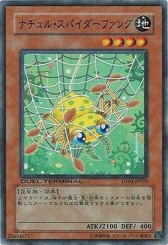 ナチュル・スパイダーファング DT04-JP020