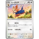 PK-SV11W-073 ハーデリア C