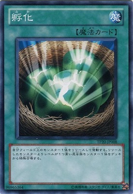 孵化 TP20-JP008