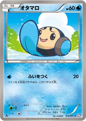 PK-BW08F-013 オタマロ C