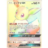 219/173 HR イーブイGX