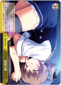 餌付け[WS_GRI/S72-023U]