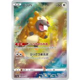 204/172 AR ビッパ
