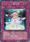 ピケルの魔法陣 [RDS-JP057]