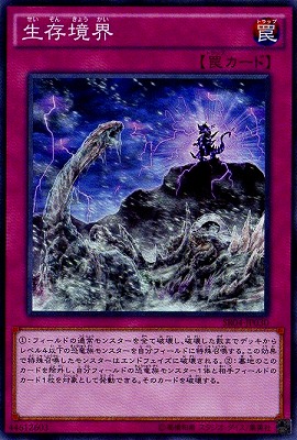 生存境界 SR04-JP030