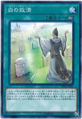 PP20-JP007 白の救済