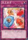 暴走闘君 STOR-JP076