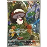 095/086 AR タマゲタケ