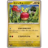 PK-SV5a-048 カジッチュ C