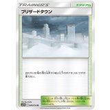 PK-SM10b-049 ブリザードタウン U