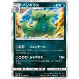 PK-SM8-020 デルビル C