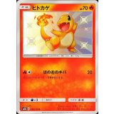 PK-SM8B-166 ヒトカゲ S