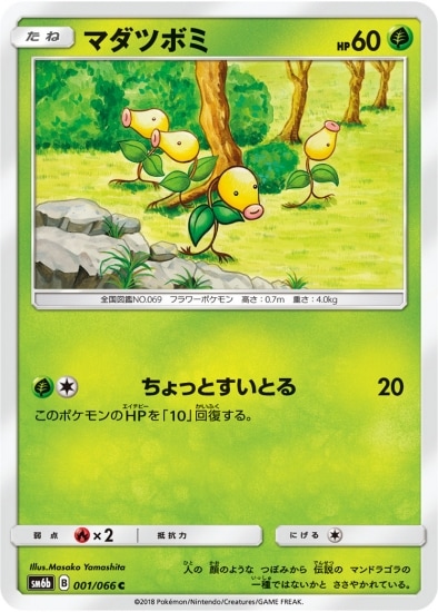 PK-SM6B-001 マダツボミ C