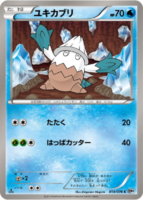 PK-BW09-019 ユキカブリ C